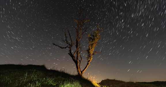 延时，天空，星星，树枝