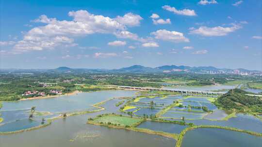 湖北黄石保安湖湿地公园夏季风光