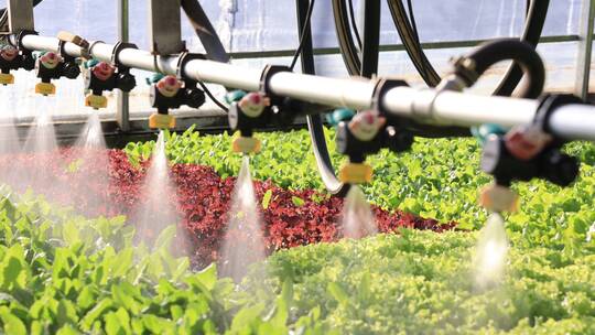喷淋 育苗 自动化农业大棚