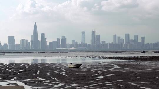 香港瞭望深圳视频深圳湾