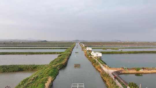 广州中山崖口海田航拍