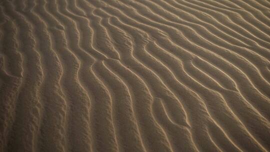 沙漠里的沙丘景观