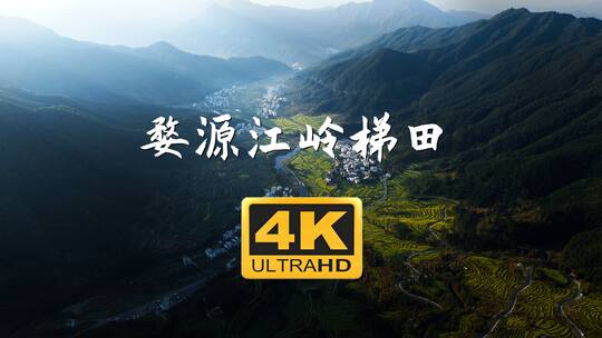 江西婺源江岭油菜花梯田