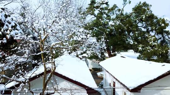 唯美浙江乡村雪景航拍