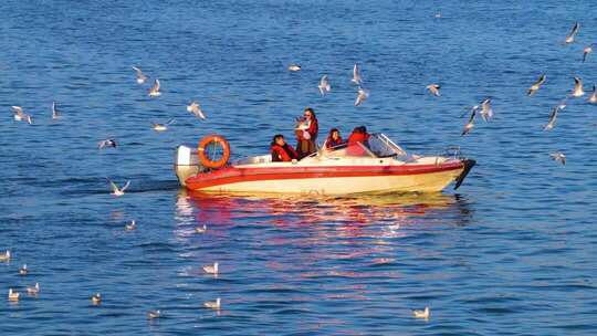 航拍滇池游船与海鸥