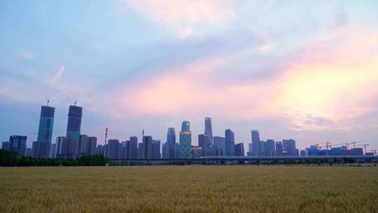 杭州城市建筑与麦田高铁同框风景