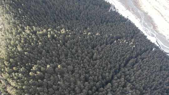 青海贵德阿什贡树木田地山峰航拍视频