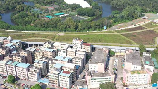 航拍深圳龙华区观澜城市建设及老城区