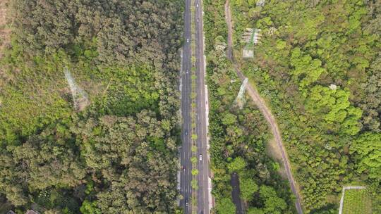 林间道路航拍