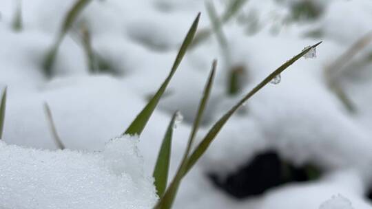 冬天的雪景合集