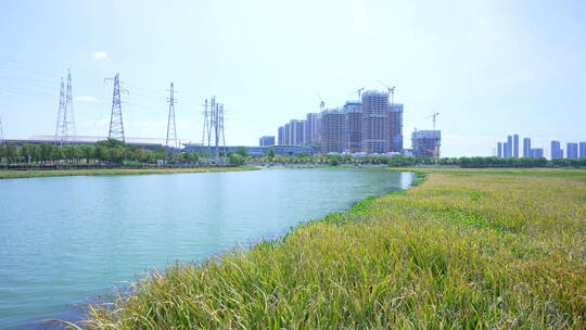 武汉杨春湖城市生态公园风景