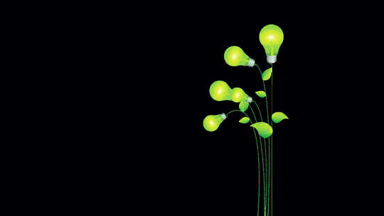 生态绿色灯泡植物代表动画1080p
