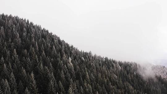 航拍冬天森林雪景