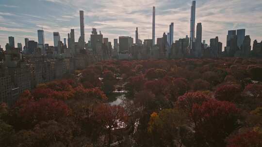 纽约市中央公园俯视图与秋树秋季中央公园视