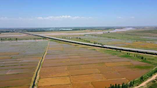 黄河大桥-春季灌溉万亩稻田航拍