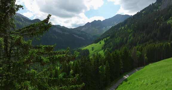 山，绿色， Lac Vert，树木