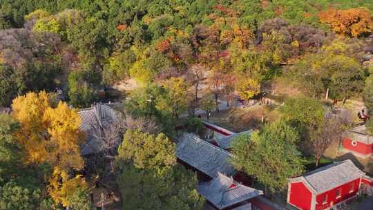 深秋的灵岩寺，色彩斑斓