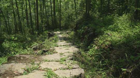 茶马古道