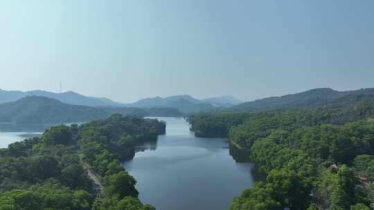 惠州市惠城红花湖景区航拍森林山川湖泊风景