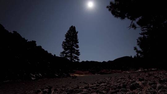 荒野的夜间流逝