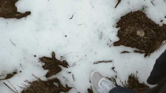 雪，地面，运动鞋，步行