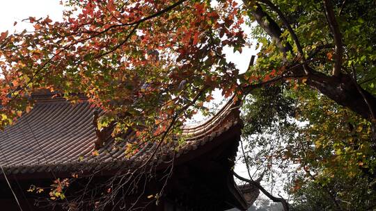 杭州西湖区北高峰法华寺禅院