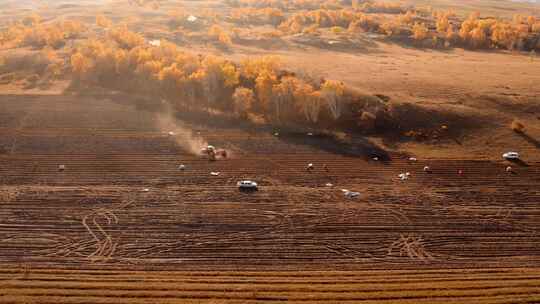 4K航拍内蒙乌兰布统农民在田地里耕作