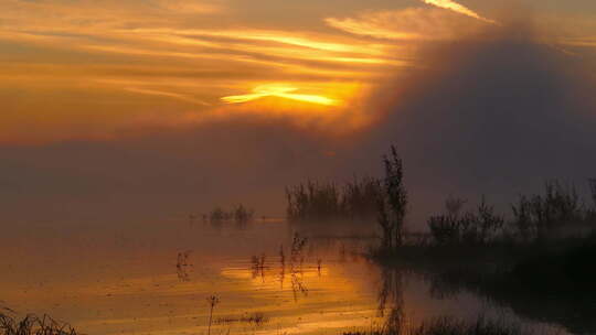 雾中河上日出景观