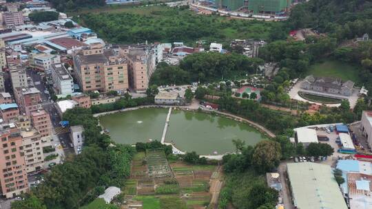 航拍深圳龙华区观澜城市建筑景观