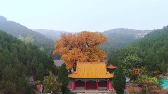 山东济南淌豆寺秋天航拍寺庙