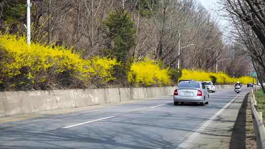 繁忙道路上的车辆