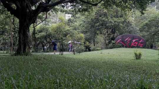 深圳南山区深圳大学航拍