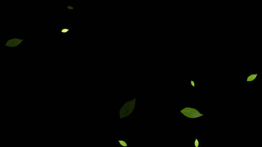 绿色茶叶快速闪烁动画