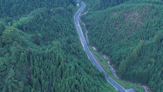 俯视山林蜿蜒公路白色行车横移全景02