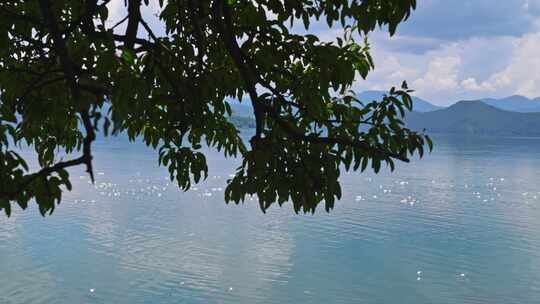泸沽湖上的水性杨花