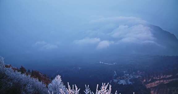 峨眉山 四川 雾凇 冬季 雪景 云海