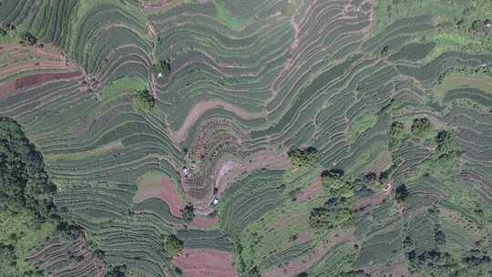 云南丽江宝山石头城寨子风景航拍