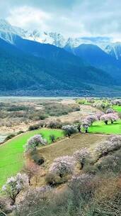 风景这边独好，花海，治愈系风景，日落