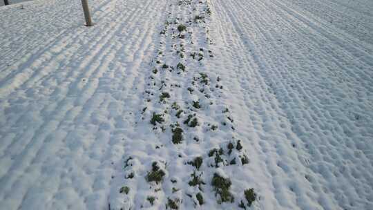 雪后乡村全景航拍风光