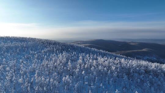 航拍逶迤山岭雪林雾凇