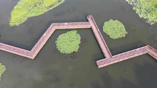 武汉东西湖金银湖湿地公园航拍