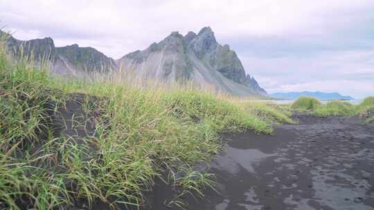 冰岛维斯特拉霍恩山脉黑沙滩上的绿草。观点视频素材模板下载