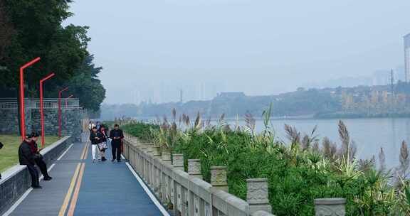 高清实拍四川眉山苏东坡故乡湿地公园