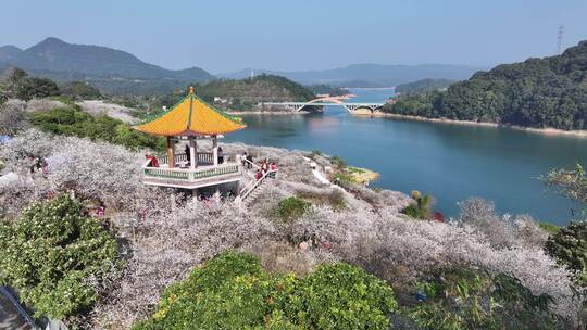 中国广东省广州市从化区广州流溪梅花节