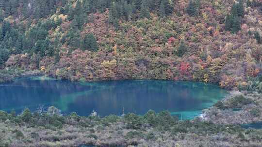 四川九寨沟彩林秋景和蓝色海子