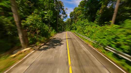 在绿色森林中的道路穿行画面