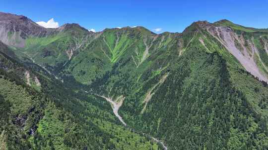 航拍四川独库公路宝康线高山森林风光