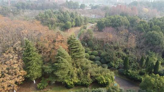 合肥翡翠湖城市实景航拍