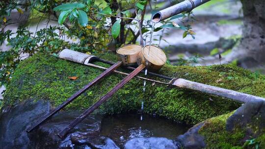 日本京都金福寺视频素材模板下载