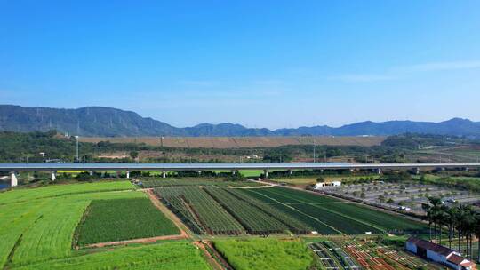 光明小镇欢乐田园油菜花光明湖高架桥铁路C